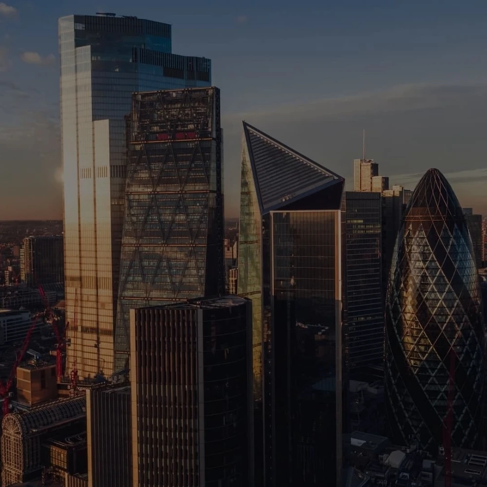 Global forensic accounting firm