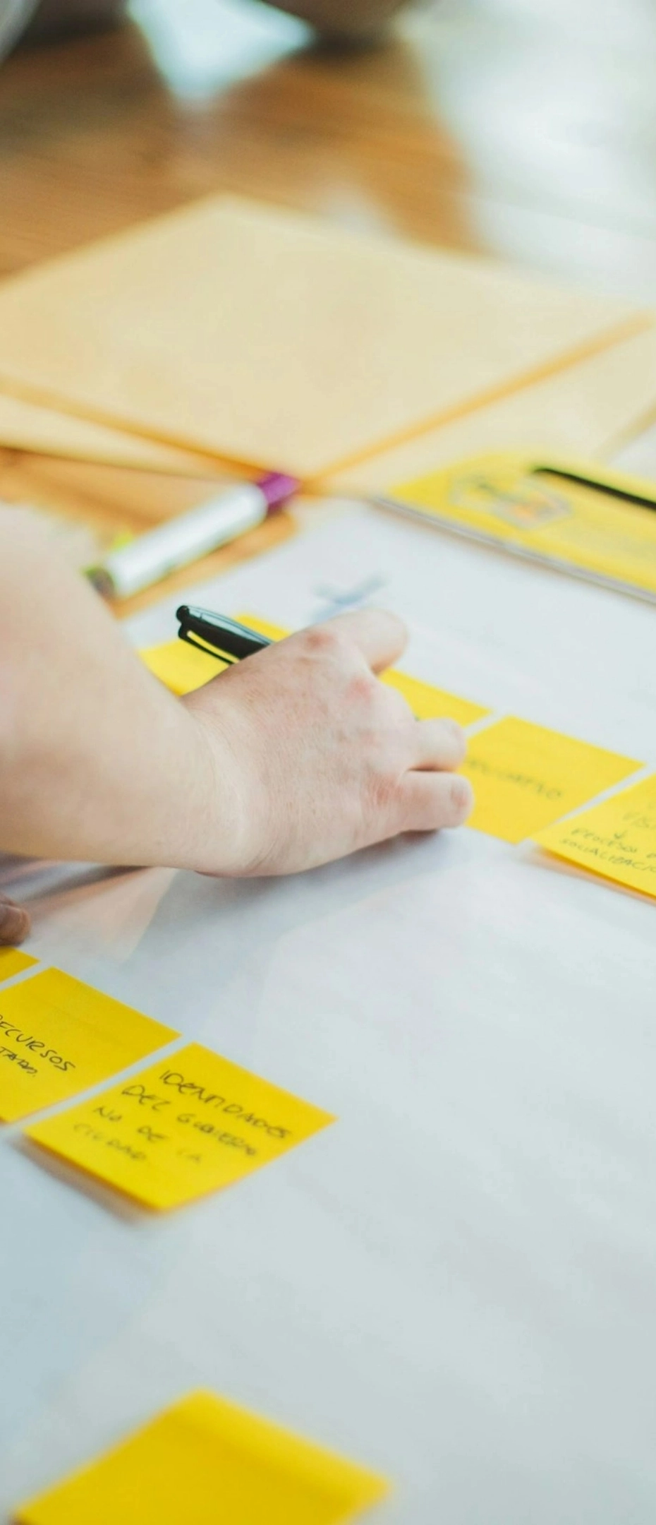 web developers in Cornwall