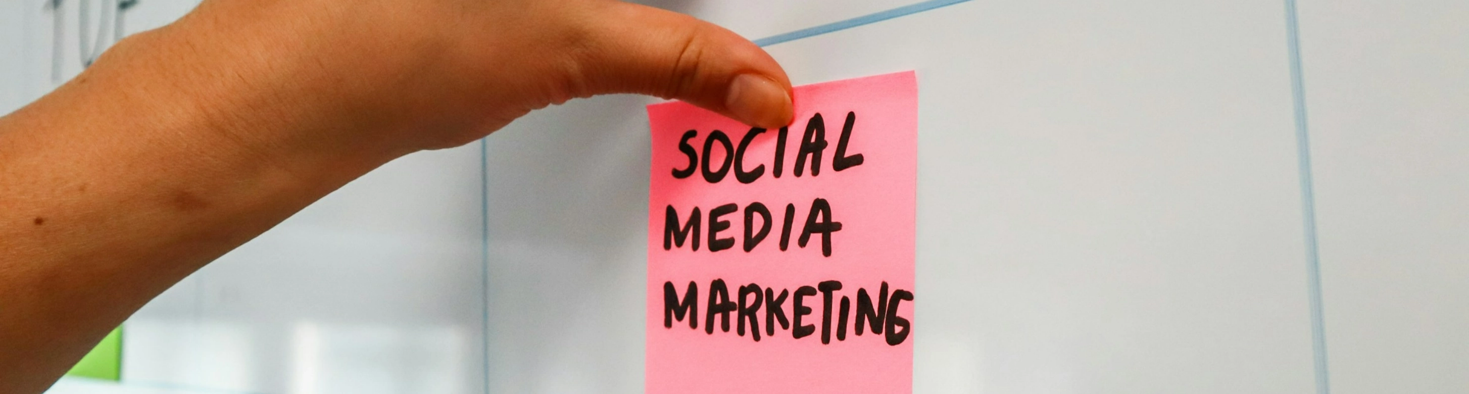 web design in Cornwall