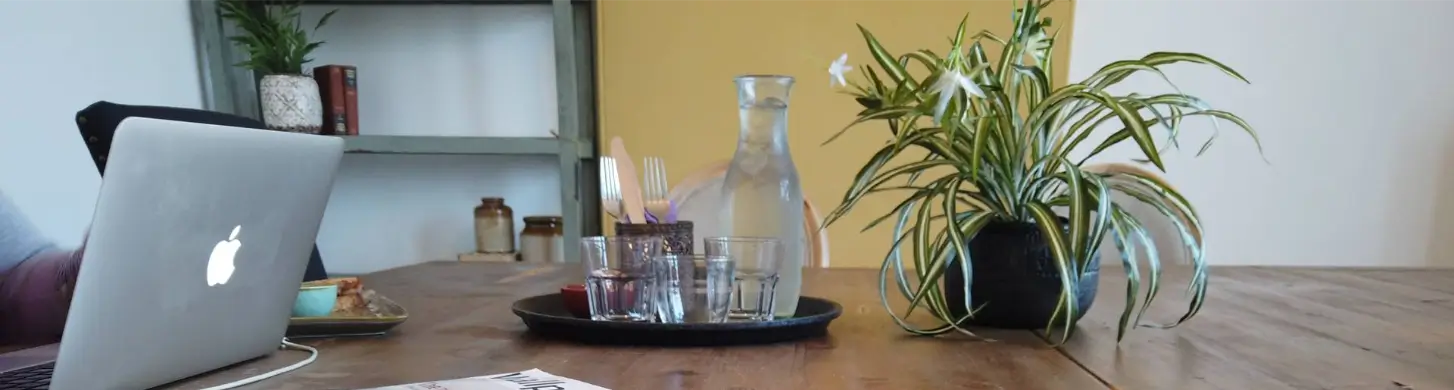 web design in Cornwall